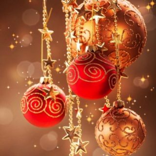 festive lunch image